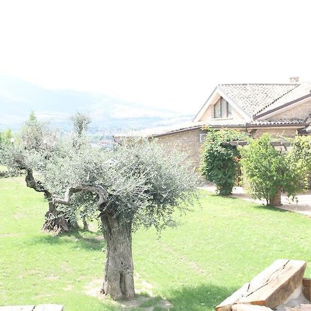 לינה וארוחת בוקר מלפי Il Casale Della Gioia מראה חיצוני תמונה